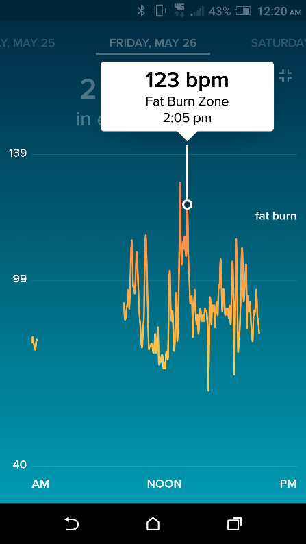 Detailed log of heart rate data.png