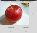 Thumbnail for version as of 04:50, 10 October 2014