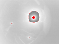 Thumbnail for version as of 11:42, 23 October 2015