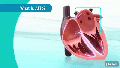Thumbnail for version as of 14:02, 1 October 2018