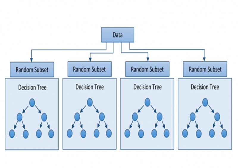 File:Random forest.jpg