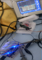 Thumbnail for version as of 11:33, 23 October 2015
