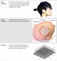 Thumbnail for version as of 14:58, 14 April 2019