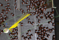 Thumbnail for version as of 13:48, 29 October 2014