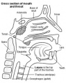 Thumbnail for version as of 23:28, 7 October 2014