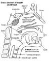Thumbnail for version as of 23:32, 7 October 2014