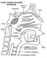 Thumbnail for version as of 23:36, 7 October 2014