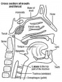 Thumbnail for version as of 23:38, 7 October 2014
