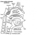 Thumbnail for version as of 23:44, 7 October 2014
