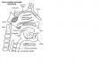 Thumbnail for version as of 23:45, 7 October 2014